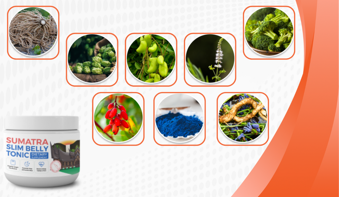 Sumatra Slim Belly Tonic: Your All-Natural Companion to Weight Loss Success!