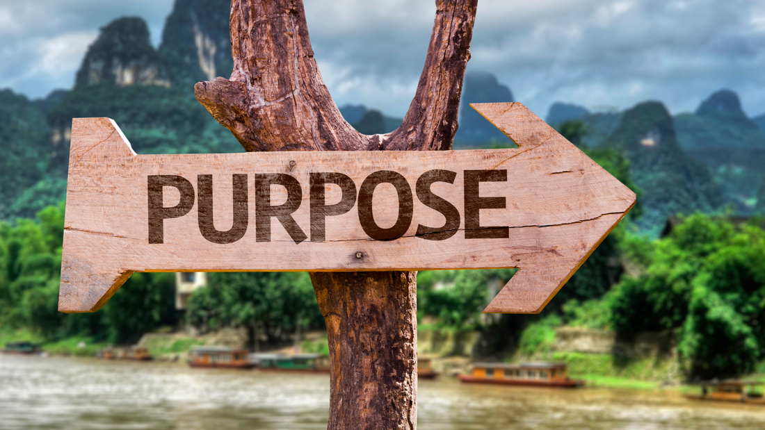 Work on Your List of Whys: The Power Behind Purpose