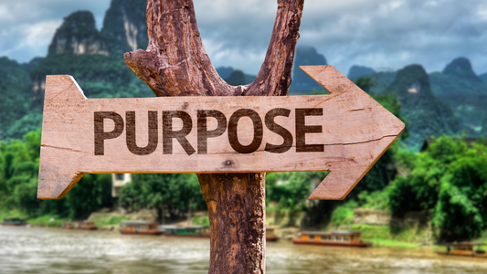 Work on Your List of Whys: The Power Behind Purpose