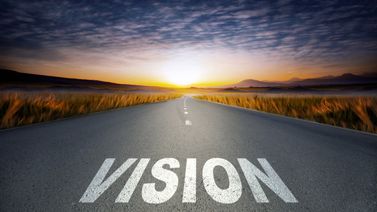 Trust Your Vision, Not Your Fear